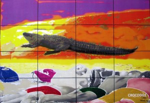 crocodile